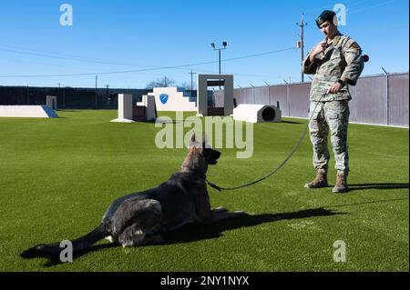 ÉTATS-UNIS Le sergent d'état-major de la Force aérienne Charles gaines, entraîneur militaire de chien de travail de l'escadron 47th des forces de sécurité, ordonne à Tuko, un chien de travail militaire, de suivre les commandements de base de l'aire d'entraînement de chien de travail militaire de l'escadron 47th des forces de sécurité, à la base aérienne de Laughlin, au Texas, le 13 janvier 2023. Les chiens de travail militaires fournissent une variété de services, y compris la détection des explosifs et la recherche de drogues, le suivi du personnel et des suspects, la patrouille des zones restreintes et la protection des installations militaires. Banque D'Images