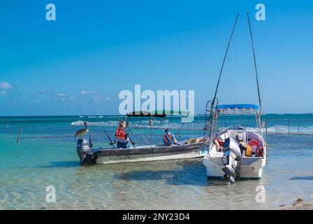 Mahahual, Quintana Roo, Mexique, Un pélican perché avec des pêcheurs sur une plage. Banque D'Images