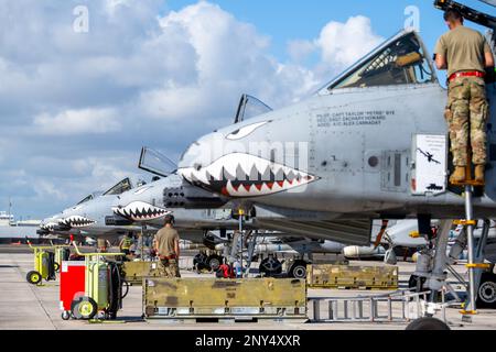 ÉTATS-UNIS Les aviateurs affectés à l'aile expéditionnaire aérienne 23rd aident les pilotes avant leur départ de l'aérodrome de l'Escadre 156th pendant l'exercice Forward Tiger à la base de la Garde nationale aérienne de Muñiz, en Caroline, à Porto Rico, le 22 février 2023. Au cours de cet exercice de formation, la Garde nationale aérienne de Porto Rico a fourni un soutien logistique, un commandement et un contrôle, un soutien aux opérations de terrain d'aviation et un espace hangar, ce qui améliore la préparation du personnel militaire américain et du pays partenaire grâce à une formation sur l'interopérabilité. (É.-U. Photo de la Garde nationale aérienne par Airman 1st classe Gisselle Toro) Banque D'Images