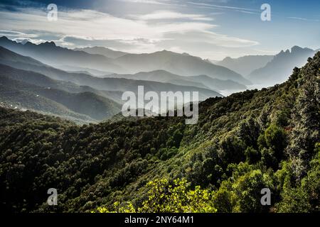 Vue de Monte Senino, Porto Bay, Porto, site classé au patrimoine mondial de l'UNESCO, département de la haute-Corse, côte ouest, Corse, mer Méditerranée, France Banque D'Images