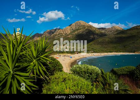 Plage de sable et montagnes, Plage dArone, Piana, Département haute-Corse, côte ouest, Corse, Mer méditerranée, France Banque D'Images