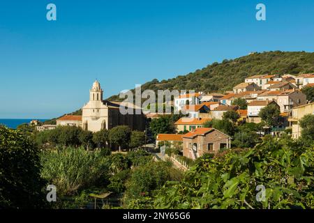 Département de la haute-Corse, Côte Ouest, Département de la Corse-du-Sud, Corse, Mer Méditerranée, France Banque D'Images