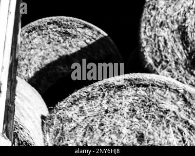 Ancienne photo granuleuse de balles de foin rondes empilées dans une grange en tôle métallique sur une ferme rurale. Banque D'Images