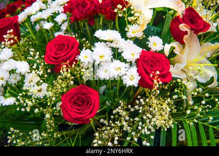 Fond de roses colorées. Beau, de haute qualité, bon pour les vacances, cadeau de la Saint-Valentin. grand bouquet de roses fraîches Banque D'Images
