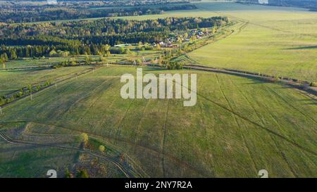 Vue aérienne d'une route rurale s'étendant le long des champs de ferme et de la forêt. Attache. Route étroite en courbure et arbres en pleine croissance Banque D'Images