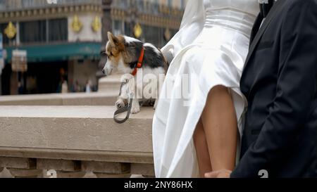 Portrait d'une femme en robe blanche assise sur un parapet de marbre. Action. Un chiot mignon près d'une femme et d'un homme en costume Banque D'Images