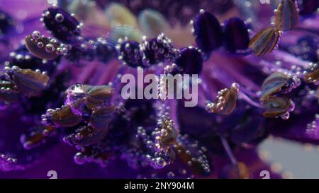 Fond floral délicat. Films. Vue macro d'un bourgeon fleuri doux placé sous l'eau Banque D'Images