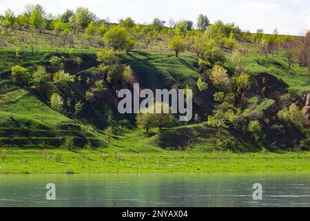 Vue sur la rivière Dniester au printemps. La rivière entoure les pistes de montagne couvertes d'une végétation luxuriante et verte. Banque D'Images