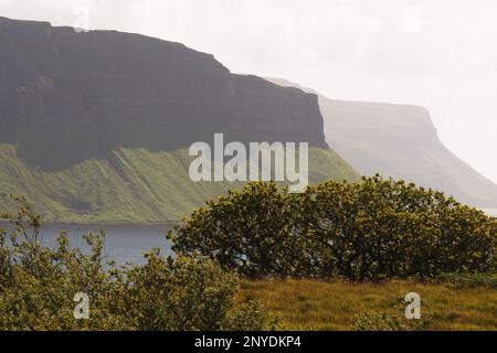 Vue sur le Loch Na Keal jusqu'à Creag Brimishgan, Mull, Écosse. Royaume-Uni, avec de l'herbe et des arbres au premier plan Banque D'Images