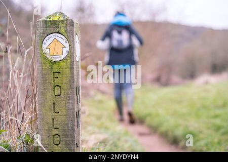 Suivez le panneau public sur un poteau le long d'un chemin de campagne britannique avec vue arrière d'une femelle Rambler isolée marchant en arrière-plan. Banque D'Images