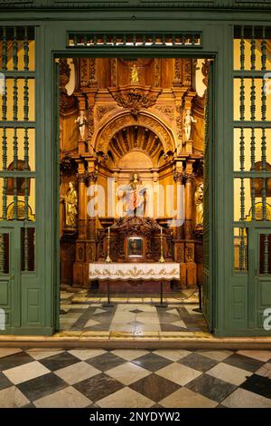 Basilique Cathédrale métropolitaine de Lima, Chapelle latérale, Lima, Pérou Banque D'Images