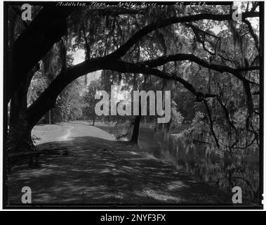 Middleton place, Ashley River vic., comté de Dorchester, Caroline du Sud. Carnegie Etude de l'architecture du Sud. États-Unis Caroline du Sud Comté de Dorchester Ashley River vic, rivières, mousses espagnoles, arbres, passerelles. Banque D'Images