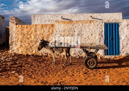 Âne avec chariot debout sur un sol sablonneux près d'un vieux bâtiment miteux avec porte bleue en Mauritanie Banque D'Images