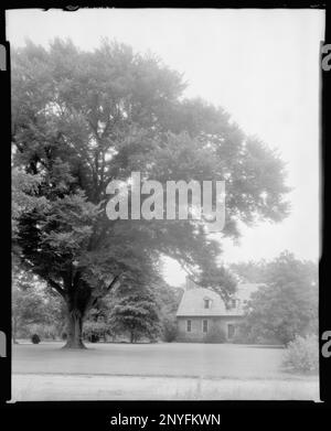 Adam Thoroughgggood House, Norfolk vic., Princess Anne County, Virginie. Carnegie Etude de l'architecture du Sud. États-Unis Virginia Princess Anne County Norfolk vic, arbres, maisons. Banque D'Images