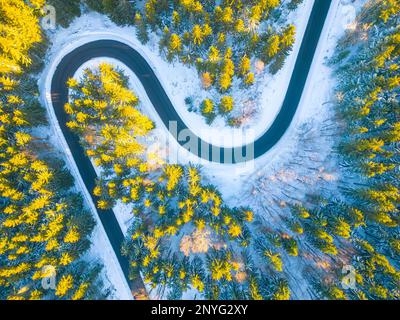 La serpentine de la route de l'asphalte en hiver enneigé. Hiver froid et journée ensoleillée au-dessus de la route forestière avec des arbres illuminés par le soleil levant. Banque D'Images