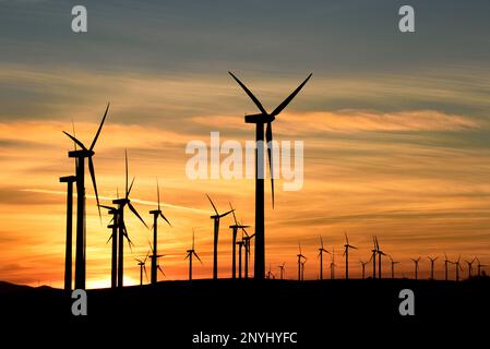 Coucher de soleil sur le grand parc éolien situé dans le col de la Lancha. Banque D'Images