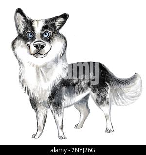 Adorable personnage amusant de chien de dessin animé. Illustration raster de race de chien Yakutian Laika isolée sur fond blanc. Pour l'impression, le design, la sublimation, les autocollants, Banque D'Images