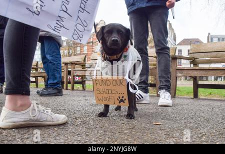 Londres, Royaume-Uni. 2nd mars 2023. Un chien rejoint la manifestation. Les enseignants ont défilé à Islington et ont organisé un rassemblement à l'extérieur de l'hôtel de ville d'Islington alors que les grèves du Syndicat national de l'éducation se poursuivent. Credit: Vuk Valcic/Alamy Live News Banque D'Images