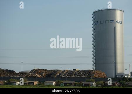 Linz / Autriche - dans une centrale à biomasse, d'énormes piles de grumes sont stockées, attendant d'être brûlées et transformées en dommages climatiques CO2. Banque D'Images