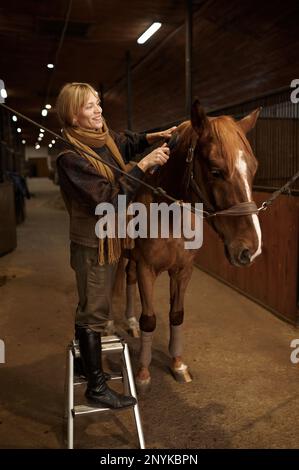 Horsewoman peignant la manie de son cheval brun pur-sang en stable Banque D'Images