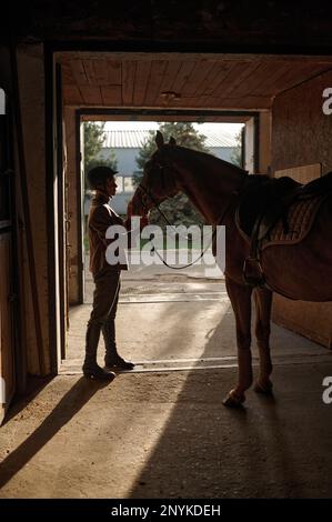 Femme caressant son cheval en se tenant au-dessus de la barrière stable Banque D'Images