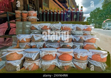 09 08 2007 Galoya; caillé de buffle dans des pots d'argile à vendre dans le stall de bord de route Sri Lanka Asie. Banque D'Images