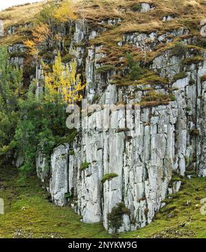 Le frêne, le bouleau argenté et le genévrier poussent sur les falaises de dolérite de Holwick Scars Upper Teesdale, dans le comté de Durham, qui fait partie du Whin Sill Banque D'Images