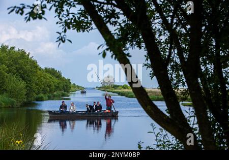 Barge avec les touristes, près de Port de Breca, parc naturel régional de la Brière, Loire Atlantique, Pays de Loire, France Banque D'Images