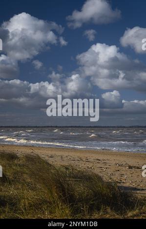 Paysage marin avec de l'herbe de maram à Walton sur la Naze dans l'Essex. Venteux, froid, jour d'hiver. Banque D'Images