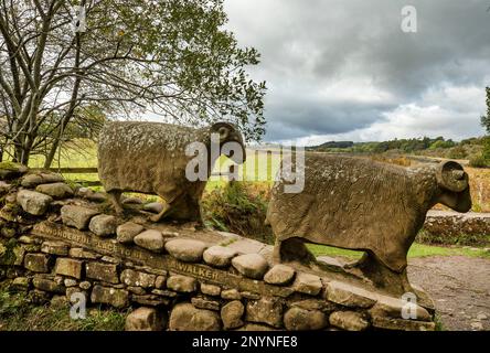 Sculptures de moutons en pierre sur un mur de pierre sèche sur Pennine Way près de Low Force Middleton dans le comté de Teesdale Durham. Les sculptures sont de Keith Alexander. Banque D'Images