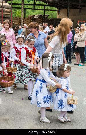 Petites filles diffusion pétales de fleurs, corpus Christi procession à Wieprzec, Gorals (Polonais highlander People) village, chaîne de montagnes de Beskids, Carpates occidentales, région de Malopolska, Pologne Banque D'Images