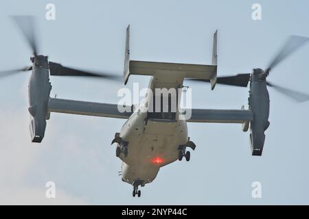 Isen, Japon. 02nd mars 2023. Le V-22 Osprey de la Force d'autodéfense terrestre du Japon participe à l'exercice conjoint « Iron Fist 23 » avec les États-Unis Marines sur l'île de Tokunoshima, préfecture de Kagoshima, Japon, jeudi, 2 mars 2023.2023. Photo par Keizo Mori/UPI crédit: UPI/Alay Live News Banque D'Images