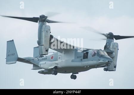 Isen, Japon. 02nd mars 2023. Le V-22 Osprey de la Force d'autodéfense terrestre du Japon participe à l'exercice conjoint « Iron Fist 23 » avec les États-Unis Marines sur l'île de Tokunoshima, préfecture de Kagoshima, Japon, jeudi, 2 mars 2023.2023. Photo par Keizo Mori/UPI crédit: UPI/Alay Live News Banque D'Images