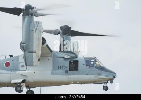 Isen, Japon. 02nd mars 2023. Le V-22 Osprey de la Force d'autodéfense terrestre du Japon participe à l'exercice conjoint « Iron Fist 23 » avec les États-Unis Marines sur l'île de Tokunoshima, préfecture de Kagoshima, Japon, jeudi, 2 mars 2023.2023. Photo par Keizo Mori/UPI crédit: UPI/Alay Live News Banque D'Images
