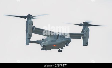 Isen, Japon. 02nd mars 2023. Le V-22 Osprey de la Force d'autodéfense terrestre du Japon participe à l'exercice conjoint « Iron Fist 23 » avec les États-Unis Marines sur l'île de Tokunoshima, préfecture de Kagoshima, Japon, jeudi, 2 mars 2023.2023. Photo par Keizo Mori/UPI crédit: UPI/Alay Live News Banque D'Images