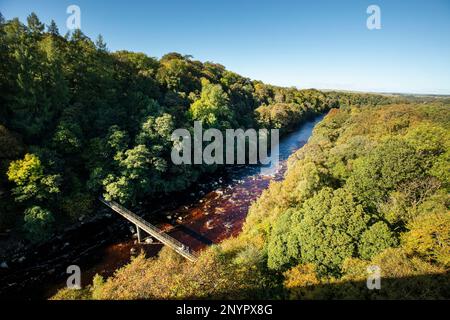 Une passerelle sur le sentier South Tyne traverse la vallée boisée de la rivière South Tyne en aval du viaduc de Lambley, dans le Northumberland Banque D'Images