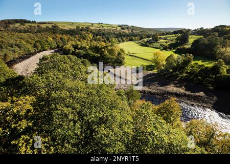 Un virage dans la rivière montre les eaux tourbées de la rivière South Tyne avec des bois et des pâturages, un large banc de gravier, du Viaduc de Lambley, Northumberland Banque D'Images