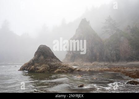 WA20991-00....WASHINGTON - la côte rocheuse couverte de brouillard à second Beach dans le parc national olympique. Banque D'Images