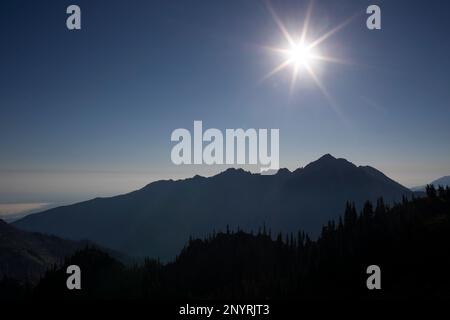 WA20997-00....WASHINGTON - montagnes olympiques depuis Hurricane Hill dans le parc national olympique. Le mont Angeles est le haut pointon la deuxième crête. Banque D'Images