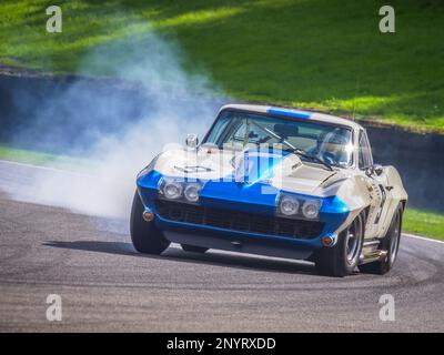 Craig Davies conduit une Corvette Sting Ray 1965 de Chevrolet au Goodwood Revival 2022, West Sussex, royaume-uni Banque D'Images