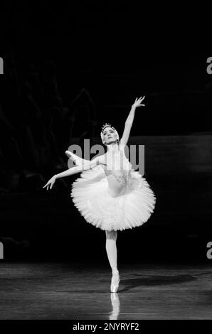 Ekaterine Surmava - Prima ballerina de ballet d'Etat de Géorgie Banque D'Images