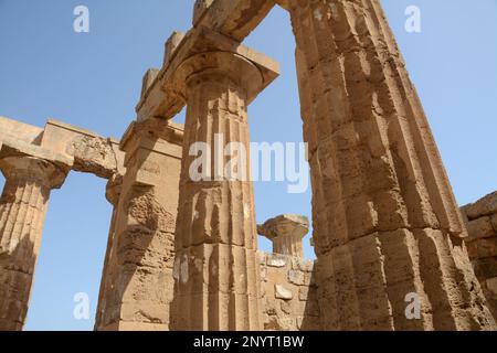 Selinunte était une ancienne ville située sur la côte sud-ouest de la Sicile. Le Temple d'Athéna et le Temple du Dioscuri sont célèbres. Banque D'Images