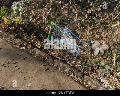 Un panier de trolley abandonné à Woodland, sur le côté d'un chemin jeté et jeté Banque D'Images