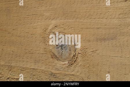 Texture en bois avec le nœud sur sa surface Banque D'Images