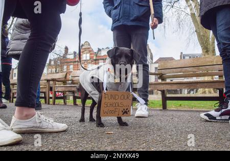 Londres, Royaume-Uni. 2nd mars 2023. Un chien rejoint la manifestation. Les enseignants ont défilé à Islington et ont organisé un rassemblement à l'extérieur de l'hôtel de ville d'Islington alors que les grèves du Syndicat national de l'éducation se poursuivent. Banque D'Images