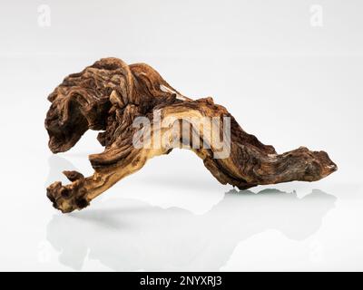 Bois de mangrove pour la décoration d'un aquarium avec une texture rugueuse sur un fond clair. La silhouette d'un bois flotté est clairement reflétée dans un g. Banque D'Images