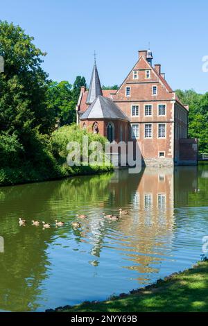 Havixbeck : château d'eau de Hülshoff, oie égyptienne (Alopochen aegyptiaca) à Münsterland, Nordrhein-Westfalen, Rhénanie-du-Nord-Westphalie, Allemagne Banque D'Images