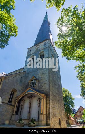 Billerbeck : église St. Johannes der Täufer (Saint-Jean-Baptiste) à Münsterland, Nordrhein-Westfalen, Rhénanie-du-Nord-Westphalie, Allemagne Banque D'Images