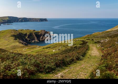 Sentier de randonnée de la tour Glencolummmkille, qui mène le long des falaises verdoyantes de Donegal, en Irlande Banque D'Images