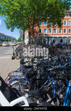 Münster: Vélos garés devant la gare Hauptbahnhof de Münsterland, Nordrhein-Westfalen, Rhénanie-du-Nord-Westphalie, Allemagne Banque D'Images